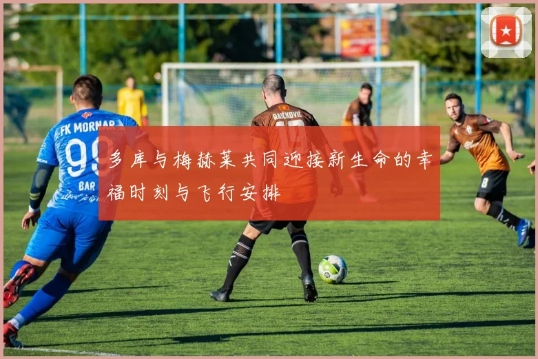 多库与梅赫莱共同迎接新生命的幸福时刻与飞行安排