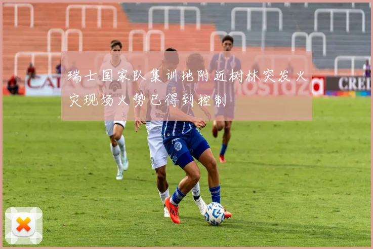 瑞士国家队集训地附近树林突发火灾现场火势已得到控制