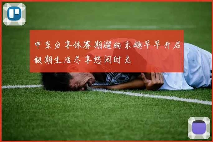 申京分享休赛期遛狗乐趣早早开启假期生活尽享悠闲时光